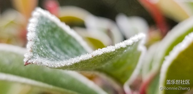 歡迎各路大神吐槽