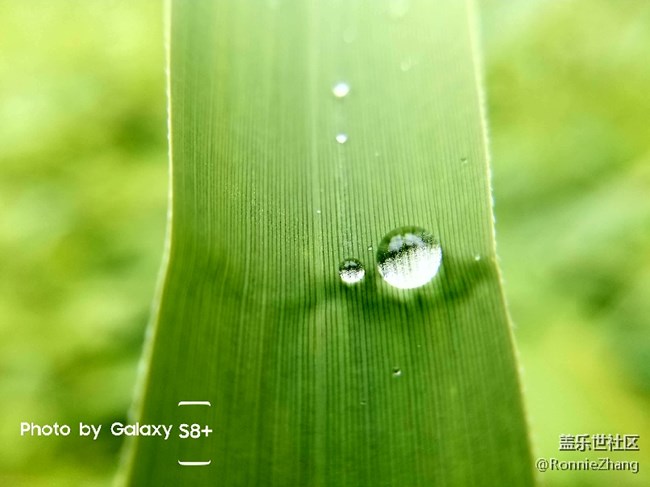 歡迎各路大神吐槽