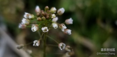 學(xué)生黨直出，歡迎交流