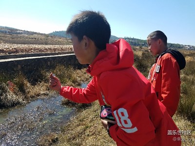 【歡歡喜喜過(guò)大年】+雜拍