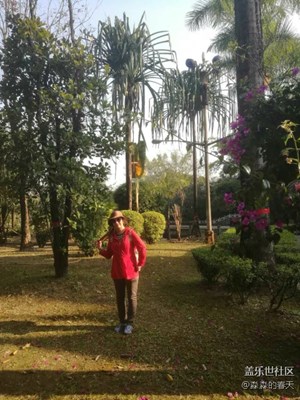 春節(jié)游玩，快樂(lè)幸福