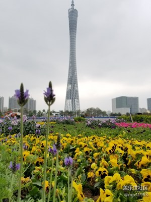 【歡歡喜喜過大年】+美在花城