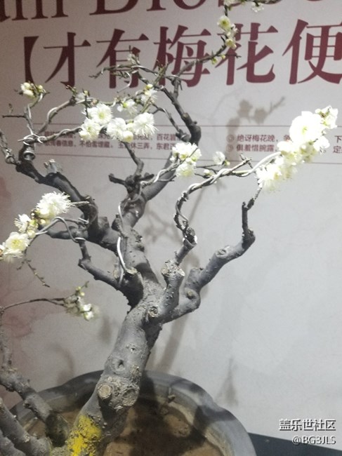 拍照不錯(cuò)非常好666666