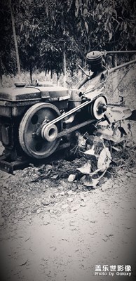 每次過(guò)年都想回到過(guò)去，一年不像一年