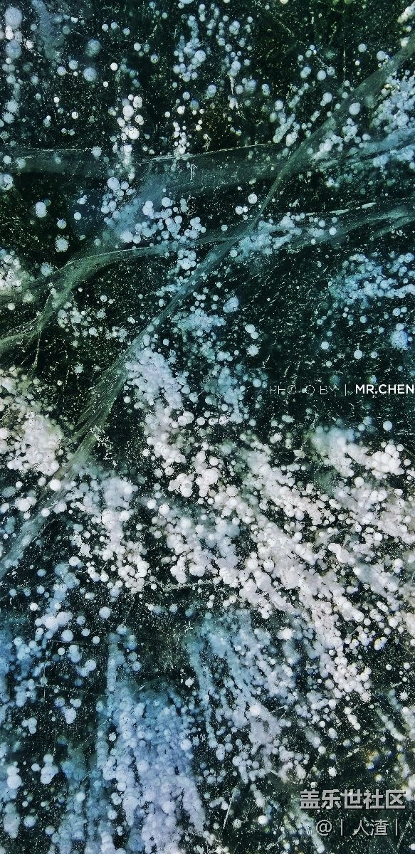 更新一波昨天拍的。