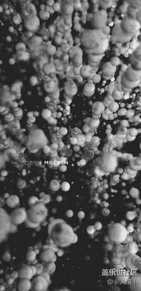 更新一波昨天拍的。