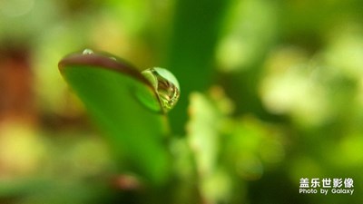 又是一年春來(lái)到