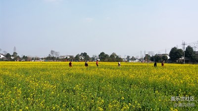 蓋樂世影像周賽第48期——【春風(fēng)】