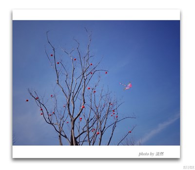《春風》+春光明媚