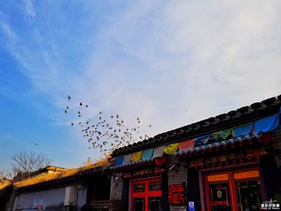 【春風(fēng)】+春風(fēng)十里