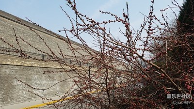 春風(fēng)+春到古城花待開