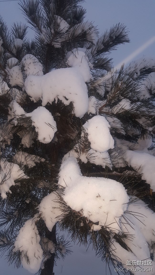 準(zhǔn)備脫坑了……