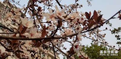 三月，你好！??！