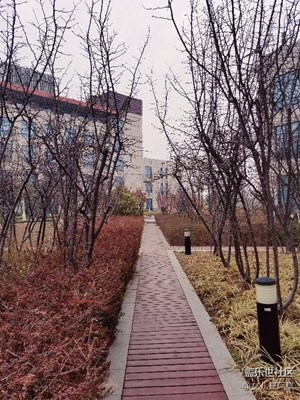 【春風】+ 含苞待放