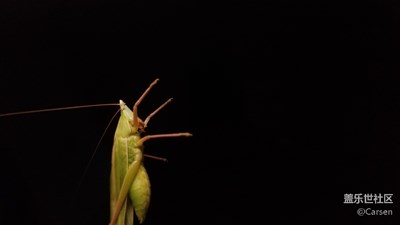 玩轉(zhuǎn)專業(yè)模式