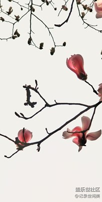 春的腳步不停歇