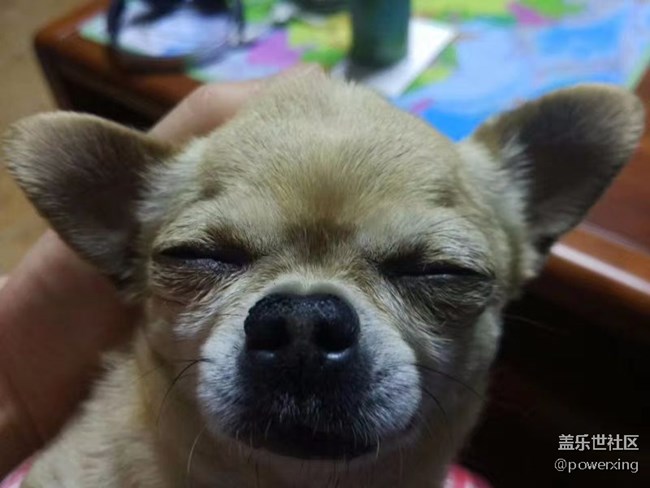 新手報到，請多關(guān)照