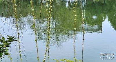 已到桃紅柳綠時