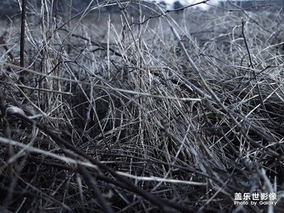 菜鳥拍出你的美