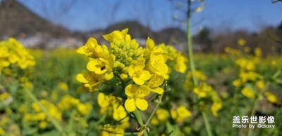 春天來了。。。。