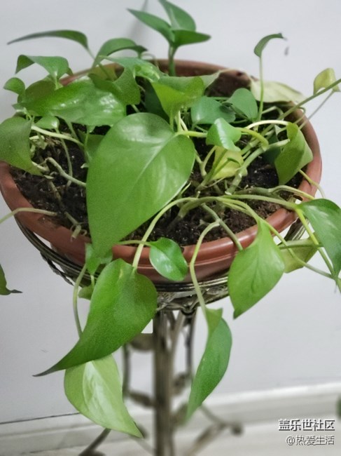 先行者已經(jīng)參加活動了