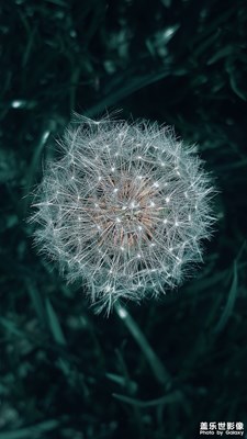 【Photo by SAMSUNG】 Nature