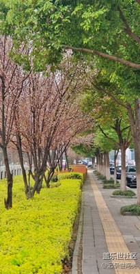 九九過后好春光