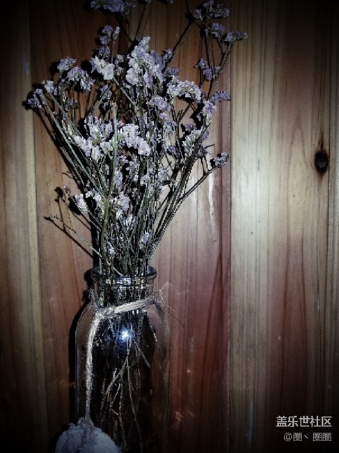 三星的美食模式還是不錯的