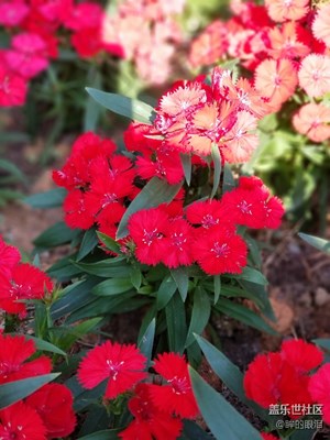 廣州難得好天氣