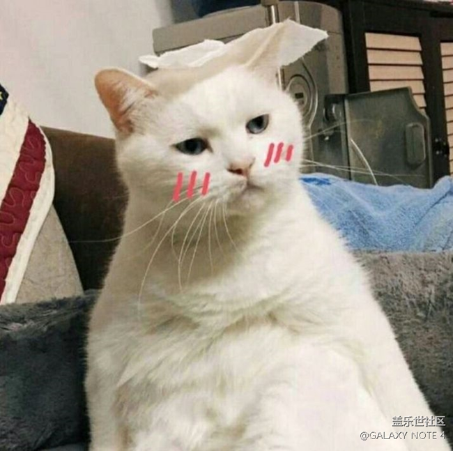 S8新的更新解決斷觸問題了