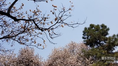 不一樣的天空藍(lán)，美如畫