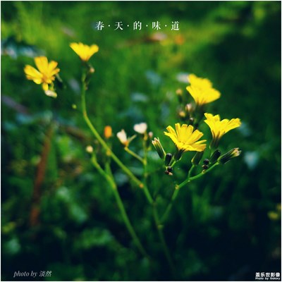 春的味道