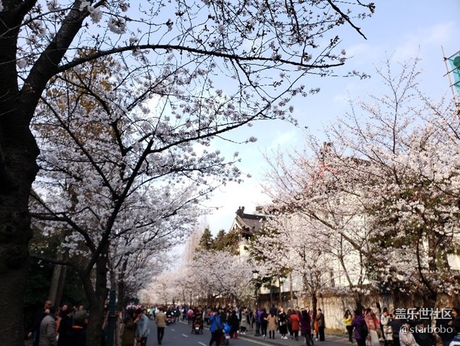 關(guān)于S9+相機(jī)專業(yè)模式觸動(dòng)問題