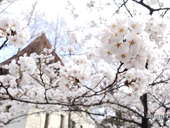 關(guān)于S9+相機(jī)專業(yè)模式觸動(dòng)問題