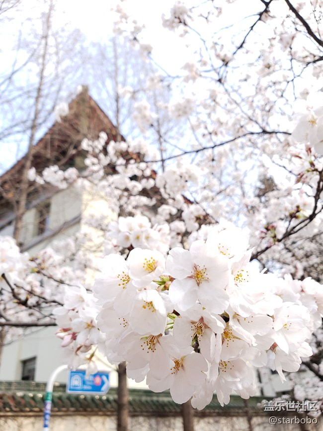 關(guān)于S9+相機(jī)專業(yè)模式觸動(dòng)問題