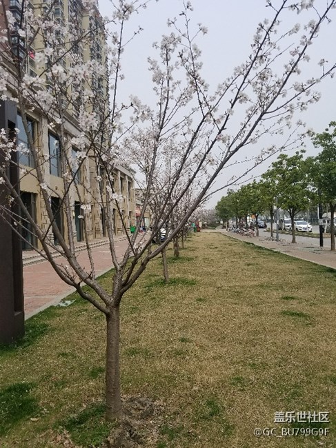 周末·你好！