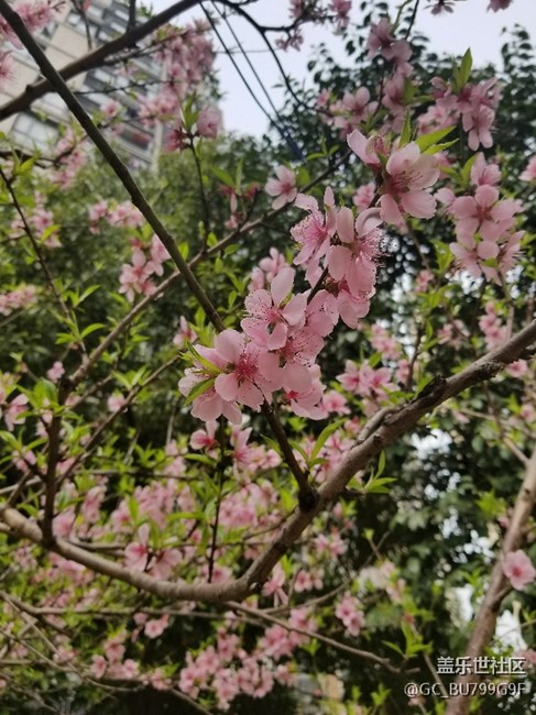 周末·你好！