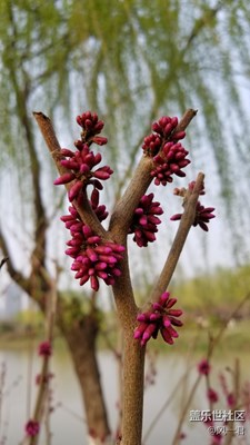 不一樣，就是不一樣