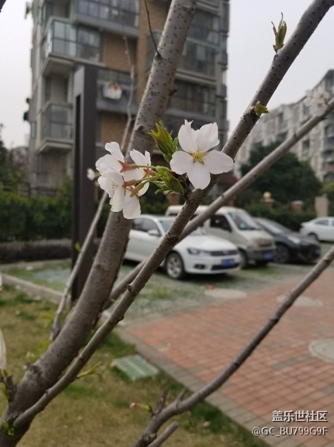 周末·你好！