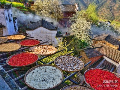 發(fā)些note8拍的照片