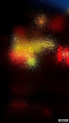 【燈】+夜朦朧，鳥朦朧