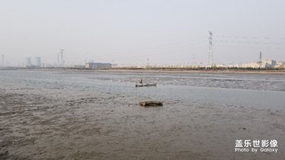 挖海鮮