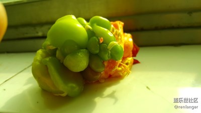 猜猜這是啥？