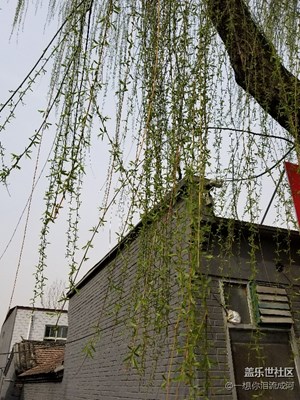 我的Note 8是不是壞了，拍照不清晰。