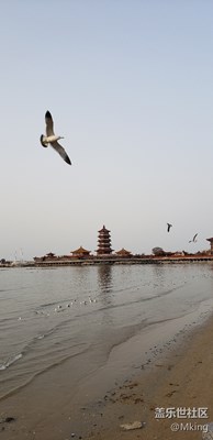 家長的網(wǎng)紅
