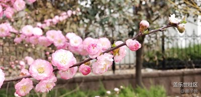 人見(jiàn)人愛(ài)，花見(jiàn)花開(kāi)