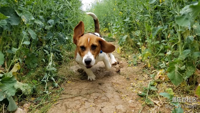 【春色十里不如“9”】+成都分公司蔡咪娜小區(qū)&“娜”片海隊