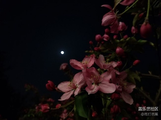 S8夜拍分享。