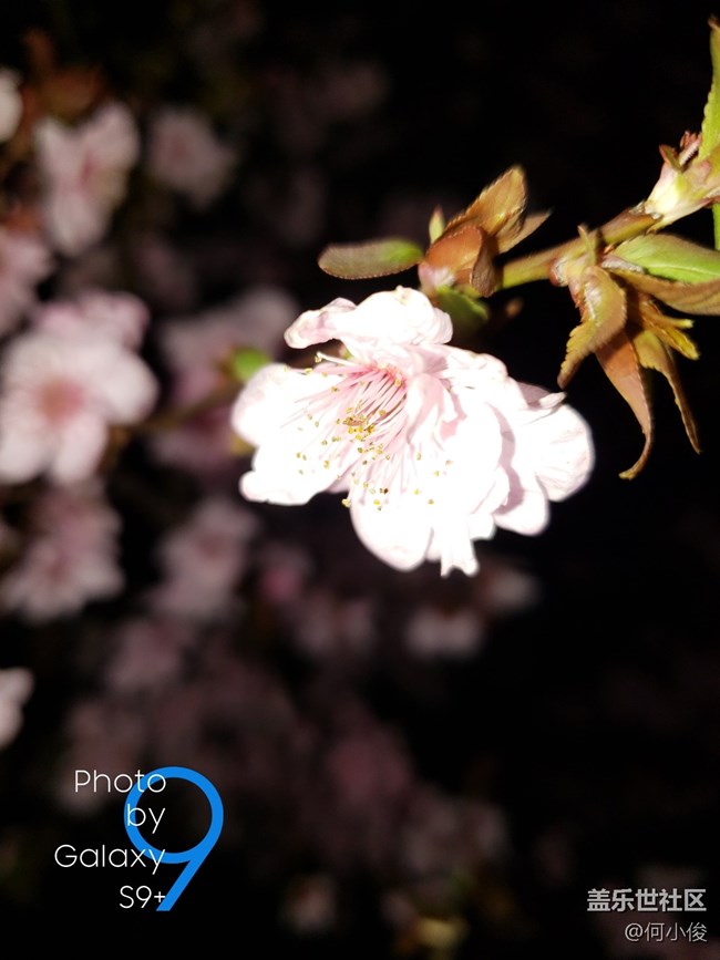 【分享】買了手機(jī)好幾天了，都沒怎么拍照