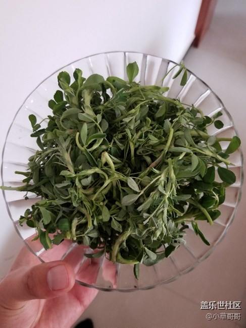 看來安卓8.0今天不會來了